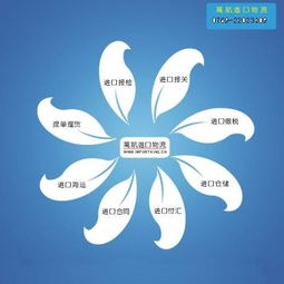 合肥食品進口報關流程及時間解析 上海港口報關代理與國內(nèi)貿(mào)易代理服務