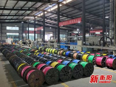 大國(guó)重器中的&ldquo;衡陽(yáng)制造&rdquo;①|(zhì)恒飛電纜:&ldquo;上天入海&rdquo;彰顯制造實(shí)力